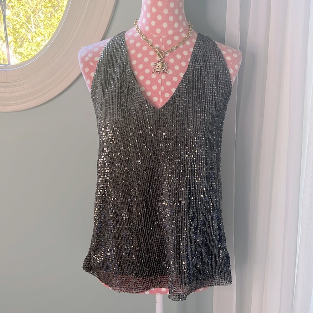 Express Sparkly Evening Top Size L